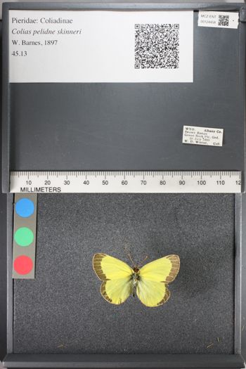 Media type: image;   Entomology 124458